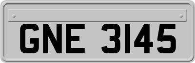 GNE3145