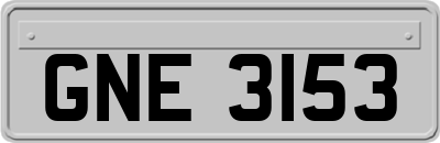 GNE3153