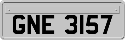 GNE3157