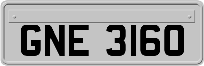 GNE3160