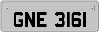 GNE3161