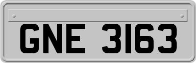 GNE3163