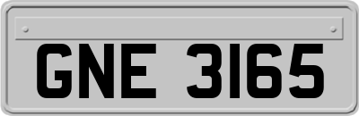 GNE3165