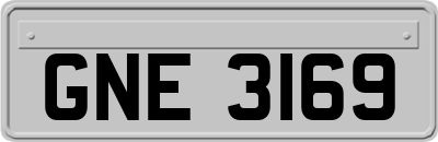 GNE3169