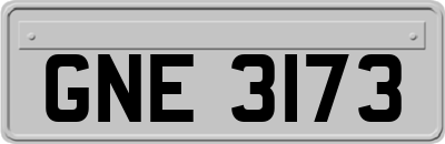 GNE3173