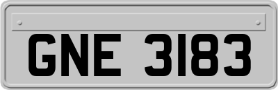 GNE3183