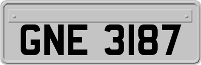 GNE3187
