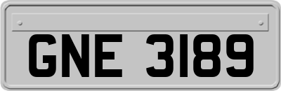 GNE3189