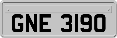 GNE3190