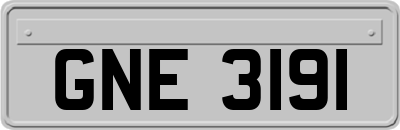 GNE3191