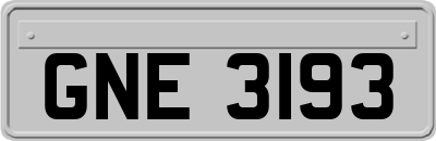 GNE3193