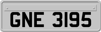 GNE3195