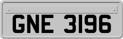 GNE3196