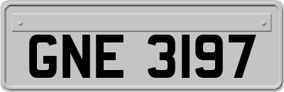 GNE3197