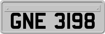GNE3198