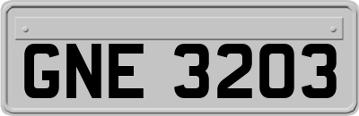 GNE3203