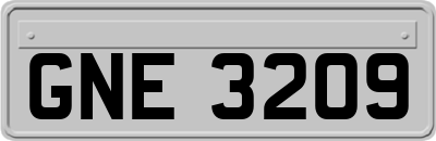 GNE3209