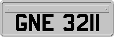 GNE3211