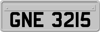 GNE3215