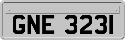 GNE3231