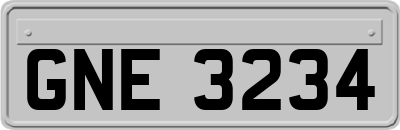 GNE3234