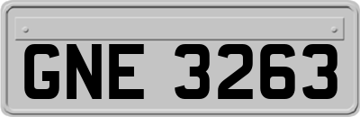 GNE3263