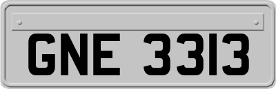 GNE3313