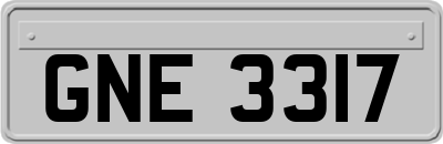GNE3317
