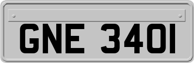 GNE3401