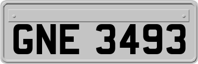 GNE3493