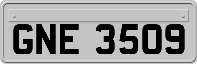 GNE3509