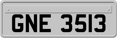 GNE3513