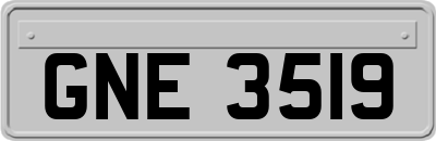 GNE3519