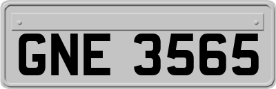 GNE3565