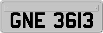 GNE3613
