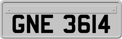GNE3614
