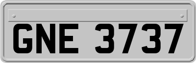 GNE3737