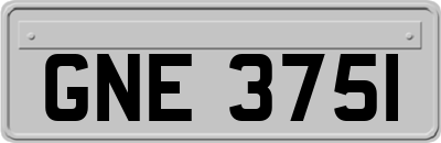 GNE3751