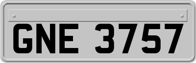 GNE3757