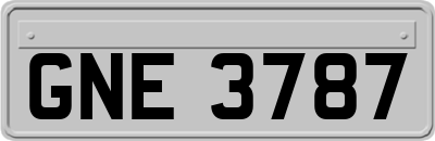 GNE3787