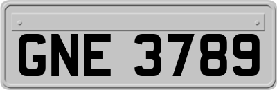 GNE3789