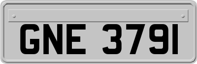 GNE3791