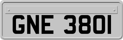 GNE3801