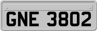 GNE3802