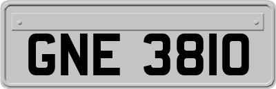 GNE3810