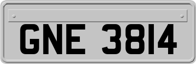 GNE3814