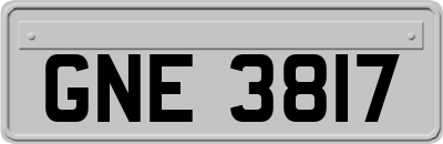GNE3817