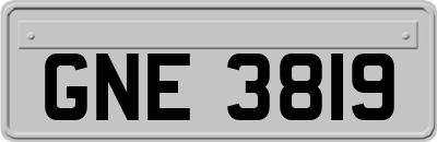 GNE3819