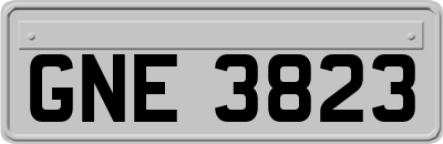 GNE3823
