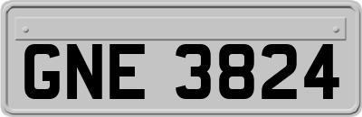 GNE3824